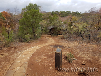 Access road leading through the bush to Thalu Bush Camp